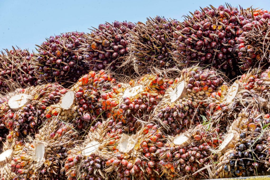 Agro-Industrial Residues