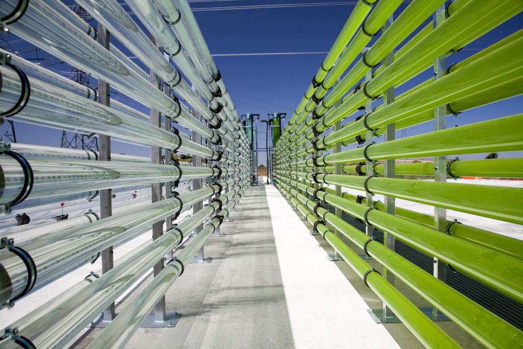 Carbon Capture and Storage